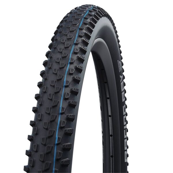 29x2.25 Schwalbe Racing Ray ADDIX Speed Grip EVO Snakeskin TLE folding